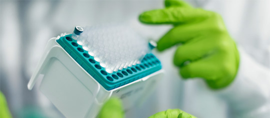 Testumfeld in BioNTech-Labor.